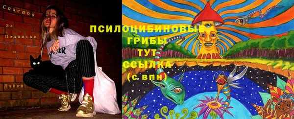 альфа пвп Беломорск