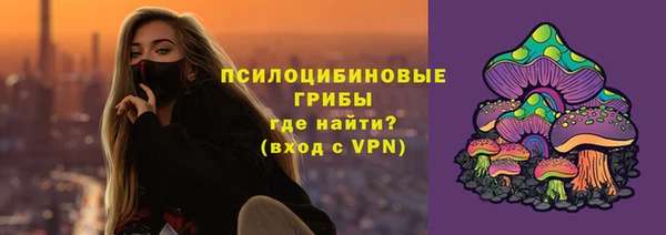 ПСИЛОЦИБИНОВЫЕ ГРИБЫ Струнино