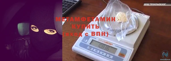 ПСИЛОЦИБИНОВЫЕ ГРИБЫ Струнино