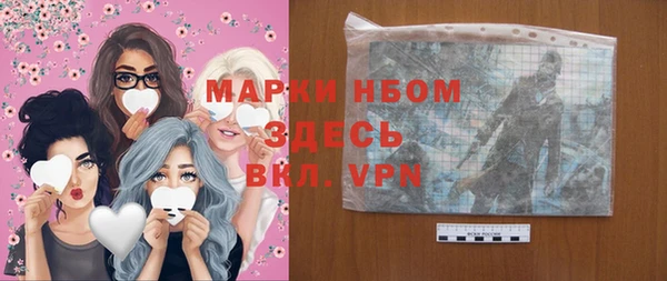 сатива Белокуриха