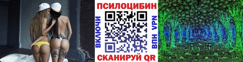 Псилоцибиновые грибы Psilocybe  Гороховец 